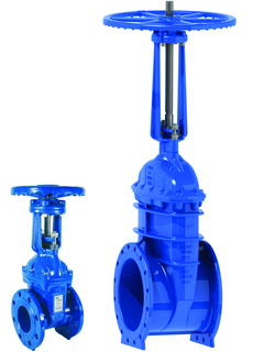 gate valve